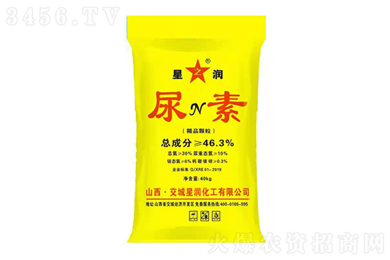 2023-2-10�������ؼ۸����鱨��һ��