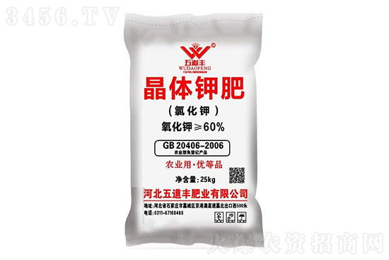 ���ռطʼ۸����鱨��һ��2023-2-23