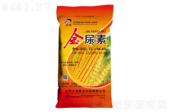 2023-2-24�������ؼ۸����鱨��һ��