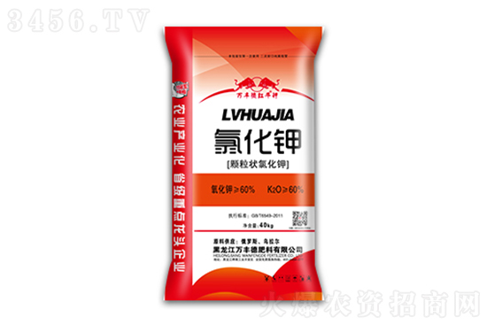 ���ռطʼ۸����鱨��һ��2023-2-24