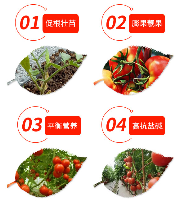 罗玛鹿番茄专用肥-海鲸_03.jpg