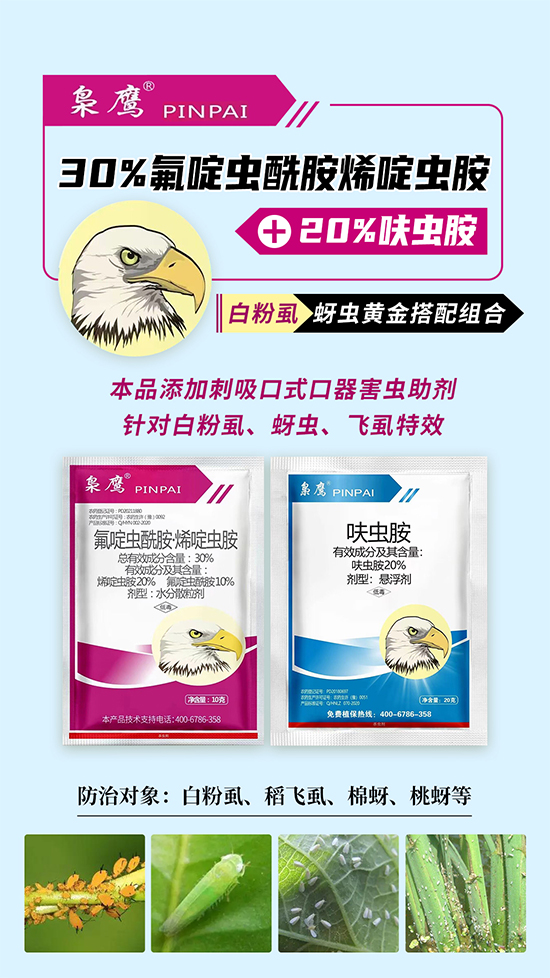 航地�?.jpg