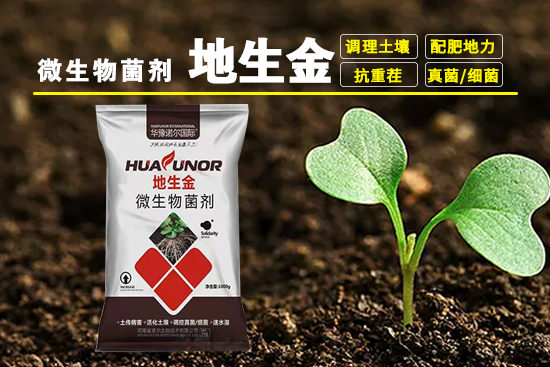 诺尔生物技术有限公�?.jpg