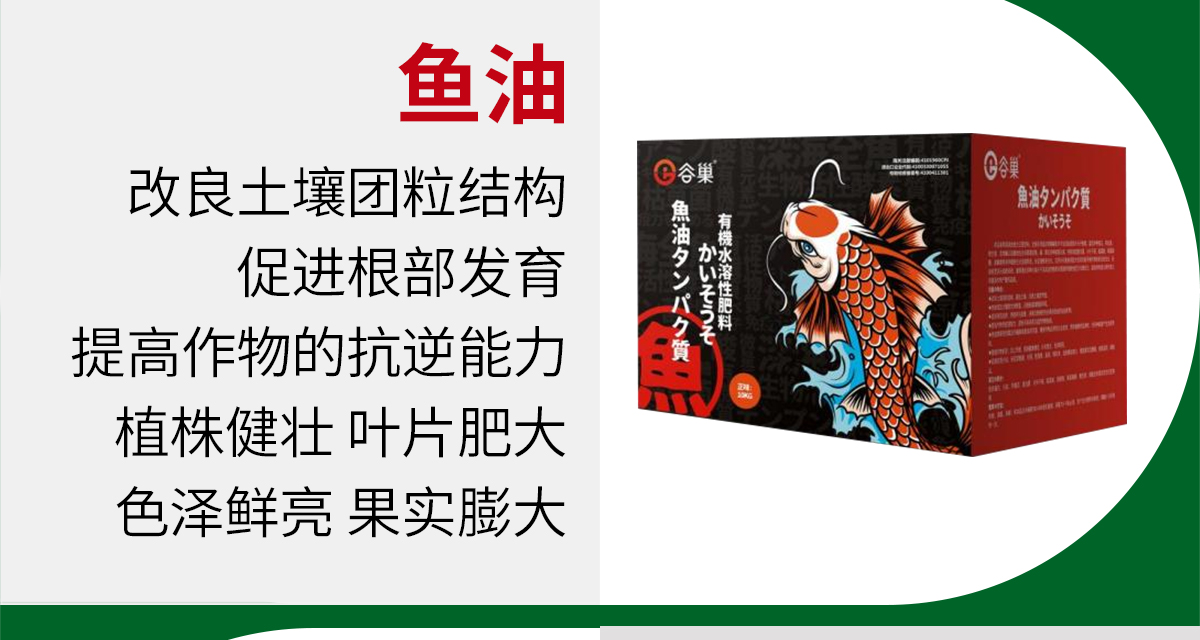 加谷沃_06.jpg