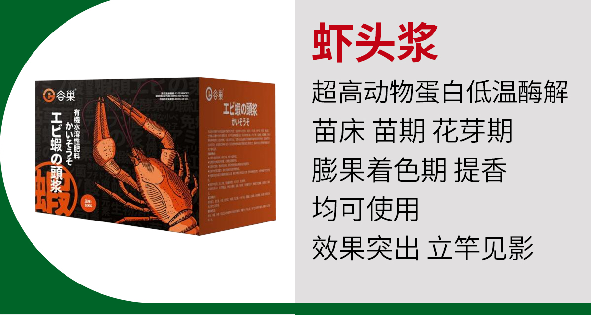 加谷沃_07.jpg