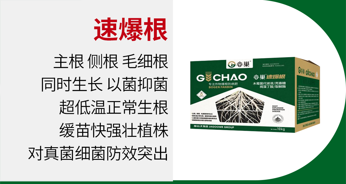 加谷沃_08.jpg