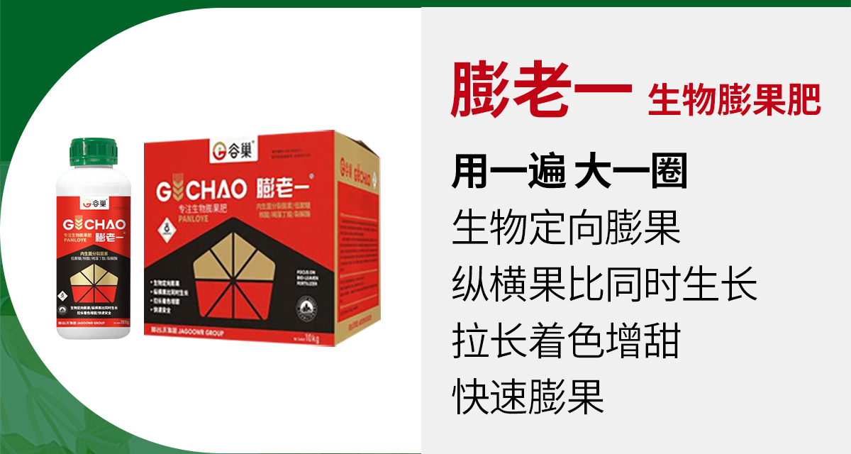 加谷沃_09.jpg