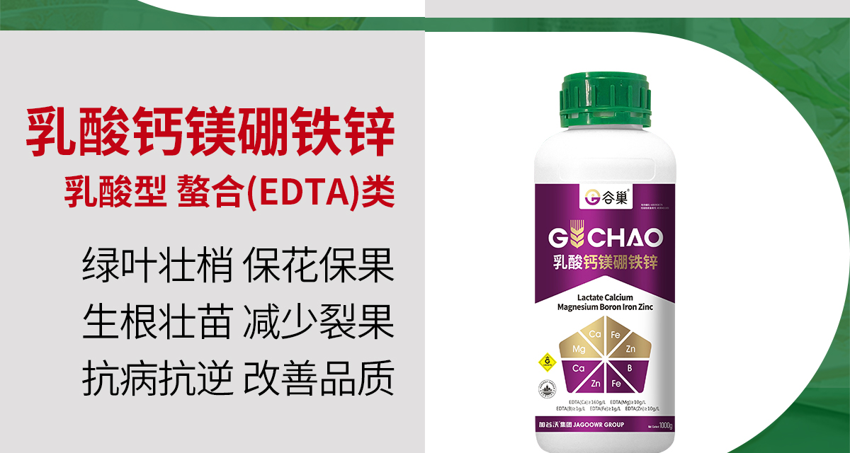 加谷沃_12.jpg