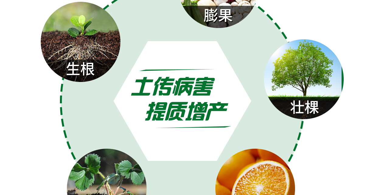 加谷沃_14.jpg