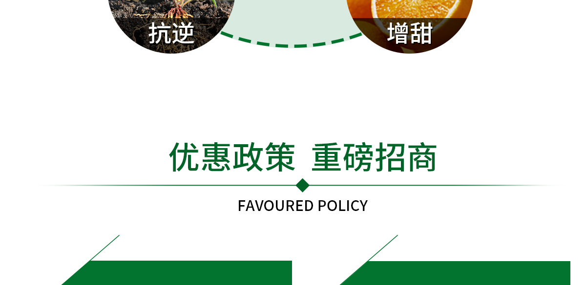 加谷沃_15.jpg