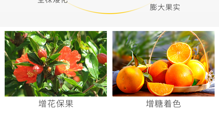 江苏雷力佳化生物科技有限公司_08.jpg