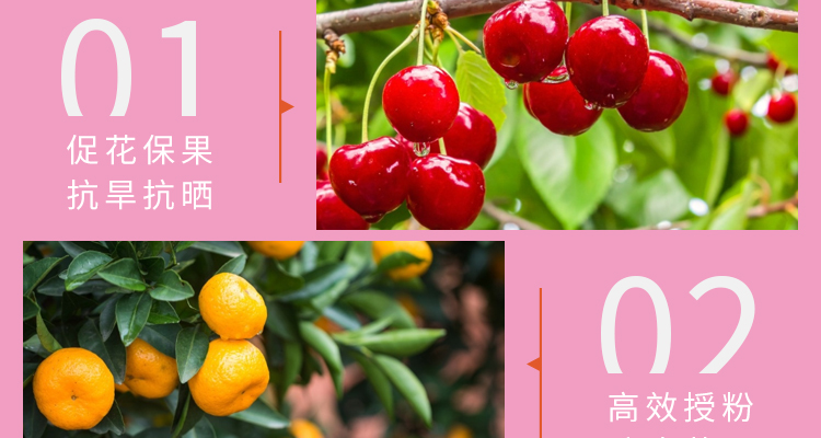 江苏雷力佳化生物科技有限公司_11.jpg