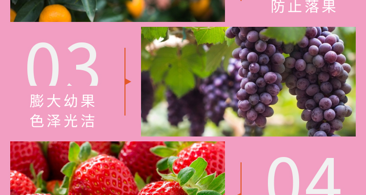 江苏雷力佳化生物科技有限公司_12.jpg