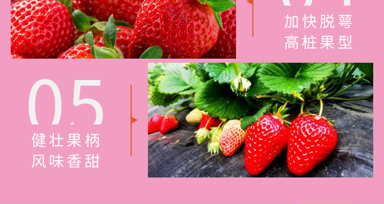 江苏雷力佳化生物科技有限公司_13.jpg