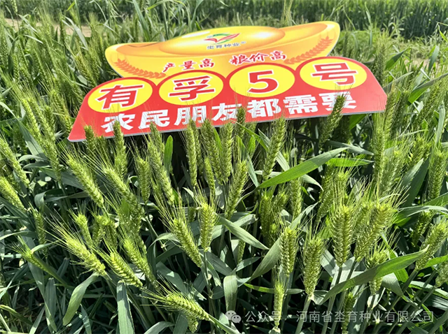 鏈爣棰?1.png 鏈爣棰?1.png