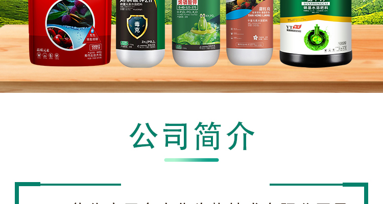 云台大化生物电子画册_03.jpg