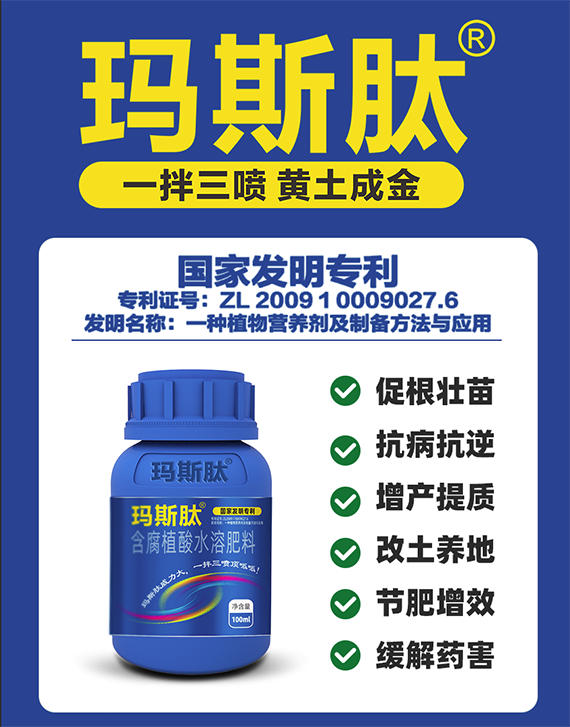 QQ图片20241111095039.png
