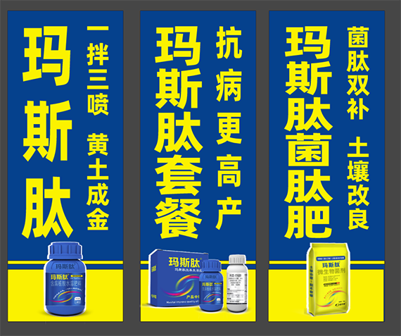 QQ图片20241111095018.png