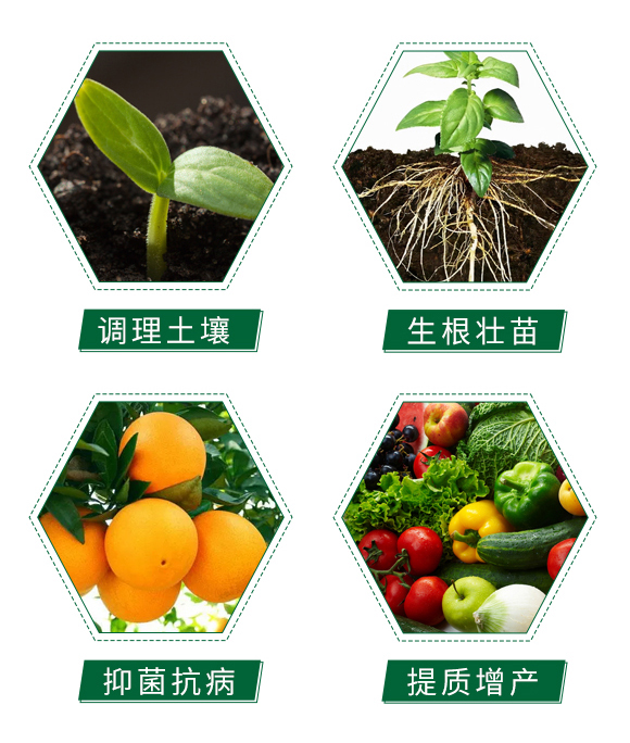 微生物菌�?地斗�?�?华能中矿_05.jpg