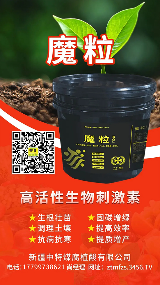 鏂扮枂涓壒鐓よ厫妞嶉吀鏈夐檺鍏徃2.jpg 鏂扮枂涓壒鐓よ厫妞嶉吀鏈夐檺鍏徃2.jpg