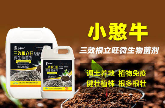灞变笢涔濊偨鐢熺墿绉戞妧闆嗗洟鏈夐檺鍏徃4.jpg 灞变笢涔濊偨鐢熺墿绉戞妧闆嗗洟鏈夐檺鍏徃4.jpg