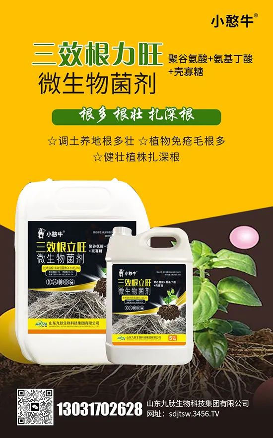 灞变笢涔濊偨鐢熺墿绉戞妧闆嗗洟鏈夐檺鍏徃3.jpg 灞变笢涔濊偨鐢熺墿绉戞妧闆嗗洟鏈夐檺鍏徃3.jpg