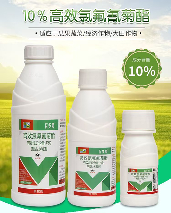 寰俊鍥剧墖_20250213145301.jpg 寰俊鍥剧墖_20250213145301.jpg