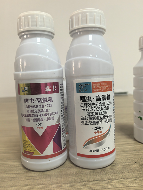 寰俊鍥剧墖_20250213145234.jpg 寰俊鍥剧墖_20250213145234.jpg