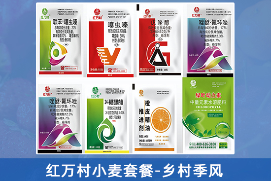 10.jpg 10.jpg