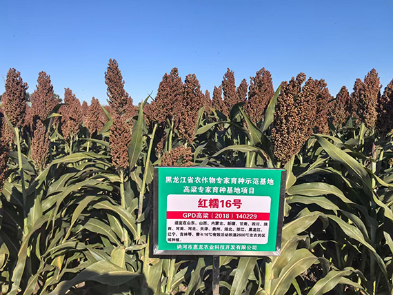 寰俊鍥剧墖_20250218102107.jpg 寰俊鍥剧墖_20250218102107.jpg