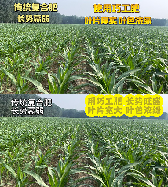 12.jpg 12.jpg