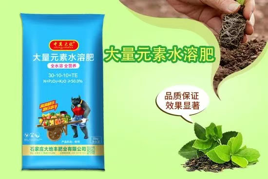 石家庄大地丰肥业有限公司4.jpg