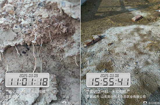 山东诺贝欣农业发展有限公�?.jpg