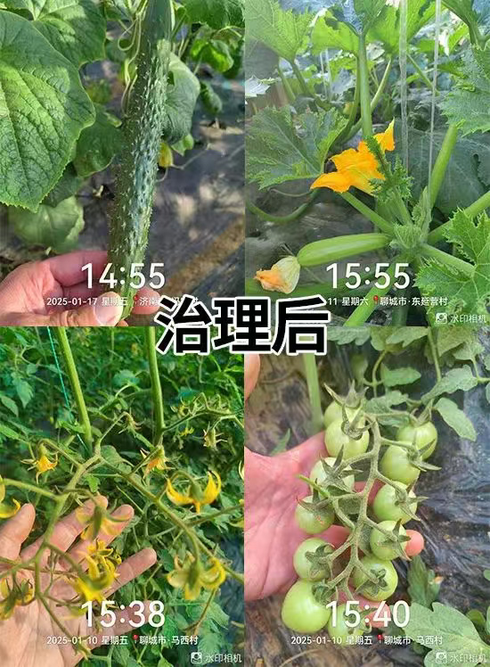 山东诺贝欣农业发展有限公�?.jpg