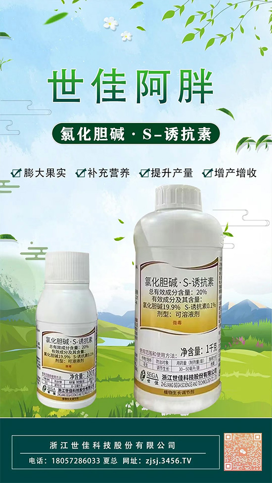 娴欐睙涓栦匠绉戞妧鑲′唤鏈夐檺鍏徃3.jpg 娴欐睙涓栦匠绉戞妧鑲′唤鏈夐檺鍏徃3.jpg