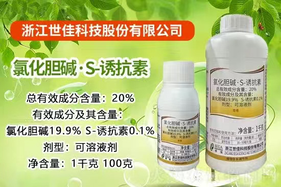 娴欐睙涓栦匠绉戞妧鑲′唤鏈夐檺鍏徃2.jpg 娴欐睙涓栦匠绉戞妧鑲′唤鏈夐檺鍏徃2.jpg