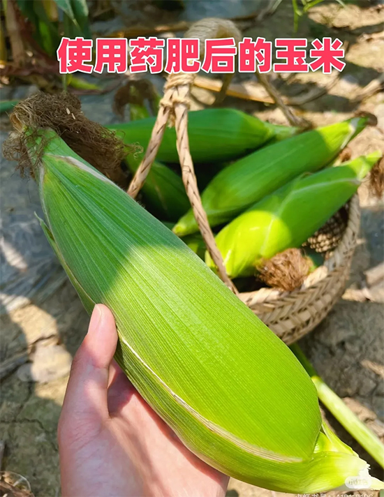 1.jpg 1.jpg