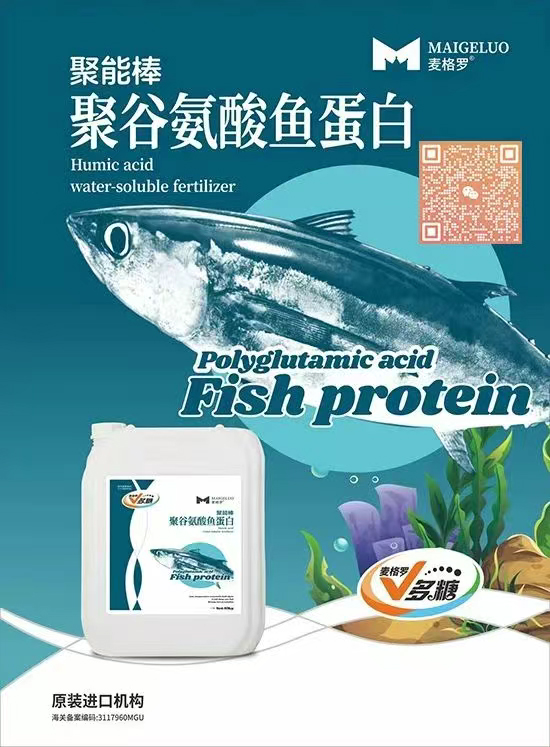 上海麦格罗进出口贸易有限公司1.jpg