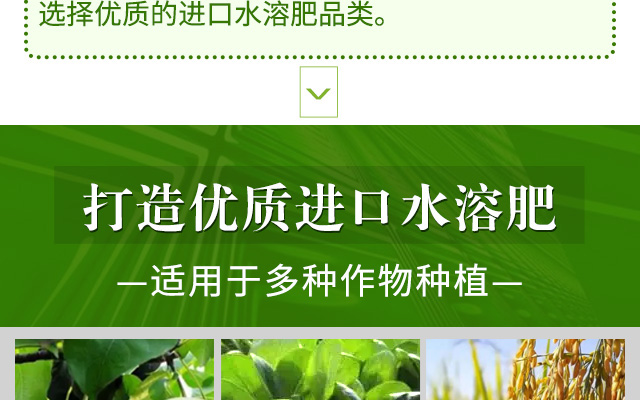 萃森元（烟台）进出口有限公司--电子画册_04.jpg
