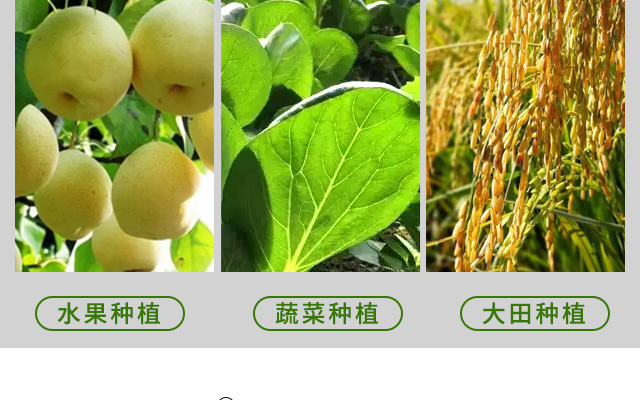 萃森元（烟台）进出口有限公司--电子画册_05.jpg