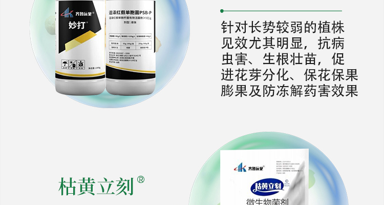 山东绿桥生物科技有限公司-电子画册_02_08.jpg