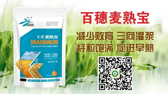 榛戦緳姹熺渷鍖楁矁鍐滀笟绉戞妧鏈夐檺鍏徃1.jpg 榛戦緳姹熺渷鍖楁矁鍐滀笟绉戞妧鏈夐檺鍏徃1.jpg