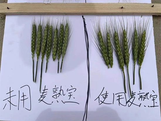 榛戦緳姹熺渷鍖楁矁鍐滀笟绉戞妧鏈夐檺鍏徃4.jpg 榛戦緳姹熺渷鍖楁矁鍐滀笟绉戞妧鏈夐檺鍏徃4.jpg