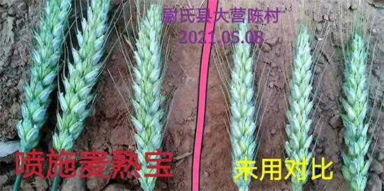 榛戦緳姹熺渷鍖楁矁鍐滀笟绉戞妧鏈夐檺鍏徃5.jpg 榛戦緳姹熺渷鍖楁矁鍐滀笟绉戞妧鏈夐檺鍏徃5.jpg