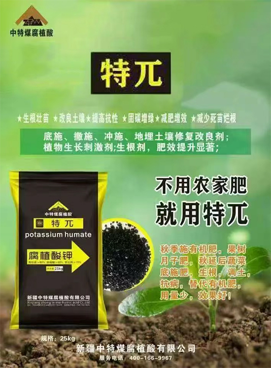 新疆中特煤腐植酸有限公司8.jpg