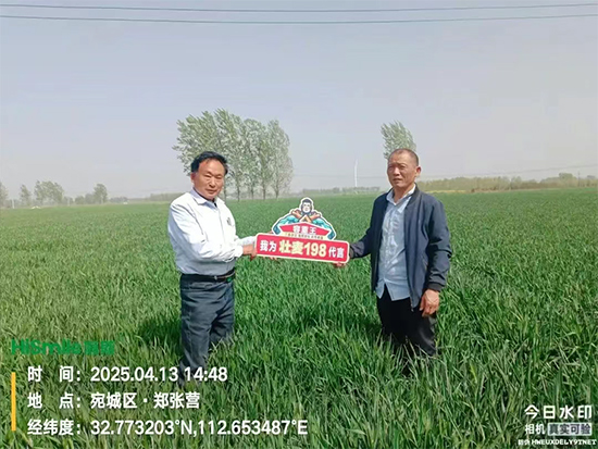 娌冲崡閭﹂偊绉嶄笟鏈夐檺鍏徃4.jpg 娌冲崡閭﹂偊绉嶄笟鏈夐檺鍏徃4.jpg