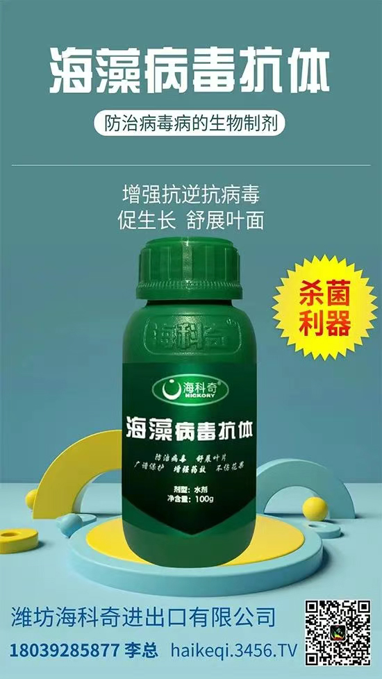 娴风濂?.jpg 娴风濂?.jpg
