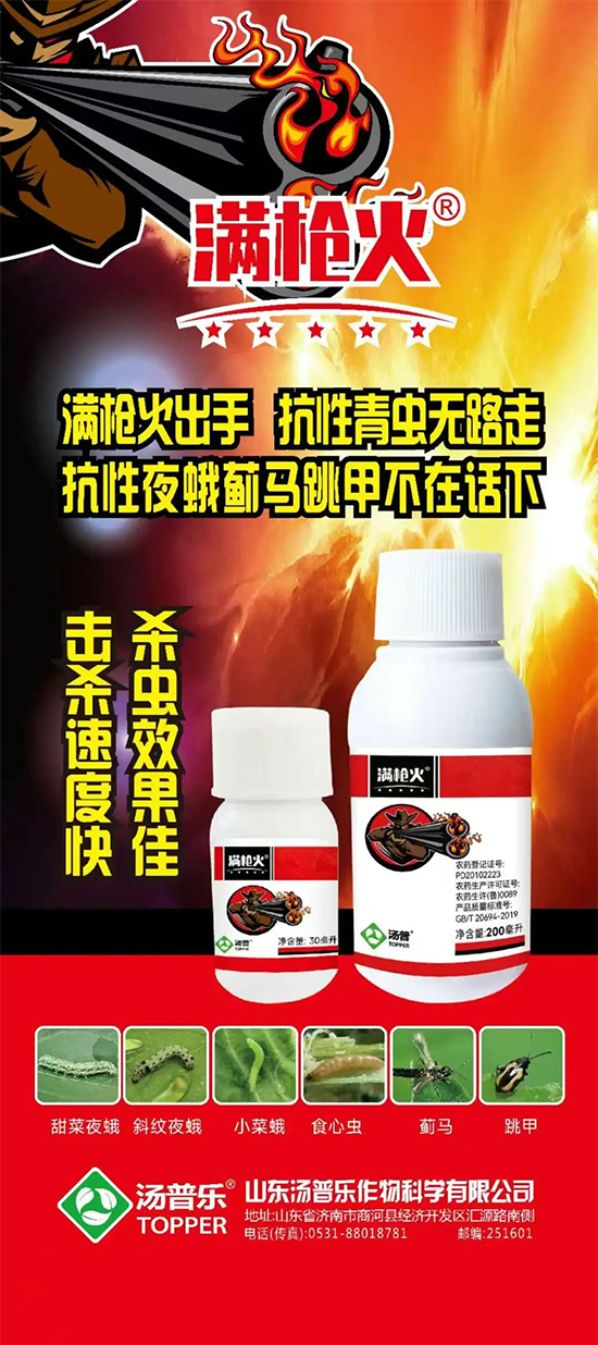 汤普�?.jpg