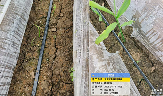 灞变笢璇鸿礉娆e啘涓氬彂灞曟湁闄愬叕鍙?.jpg 灞变笢璇鸿礉娆e啘涓氬彂灞曟湁闄愬叕鍙?.jpg