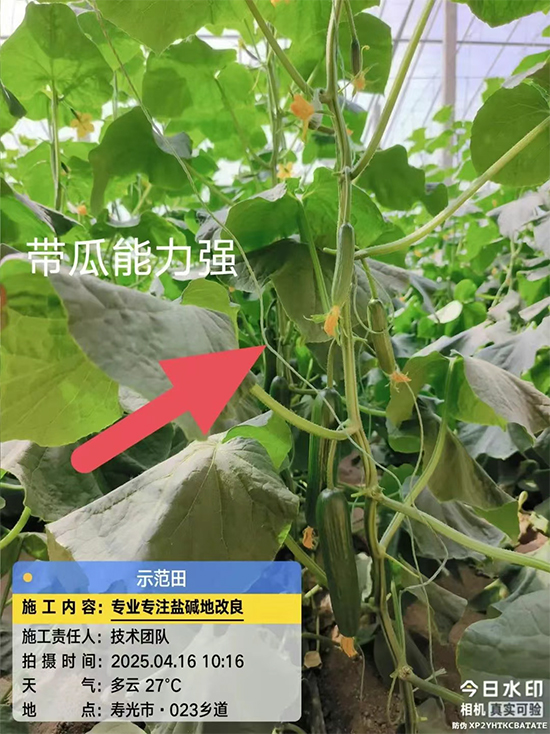 灞变笢璇鸿礉娆e啘涓氬彂灞曟湁闄愬叕鍙?.jpg 灞变笢璇鸿礉娆e啘涓氬彂灞曟湁闄愬叕鍙?.jpg